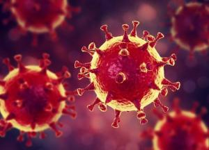 Коронавирус - это не грипп, самое время испугаться