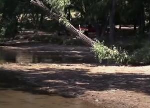 ​В ОРДЛО наступила экологическая катастрофа