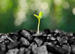 Роттердам+ возвращается, и это хорошо