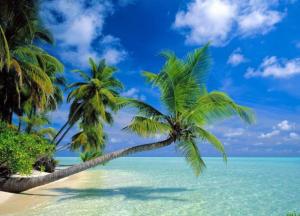Криза на райських островах: що відбувається на Мальдівах?