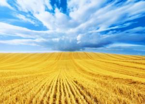 Біда держави, що в політиці мода на крамарів і клоунів