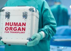 Дива трансплантації: скільки часу є на пересадку органу після смерті