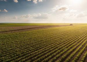 Четыре основных вопроса о рынке земли