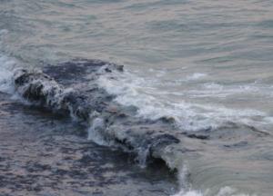 Письмо из Крыма: восемь тонн мазута на пляж, чтобы гостиничку отжать