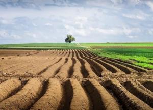 160 тисяч причин для запровадження ринку землі