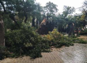 Новости Крымнаша: Власть тьмы