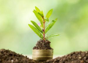 Экологический сбор должен направляться исключительно по назначению