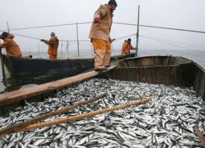 Вся суть политической глупости: Украина и Россия поделили Азовское море