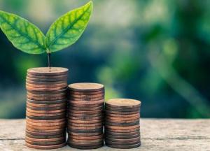 В Раде хотят создать новую коррупционную «кормушку» в экологии