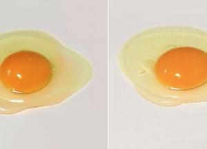 Одно из этих яиц настоящее, другое — живопись. Можете отличить?
