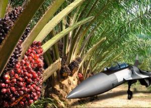 Сделка века: за партию Су-35 Россия получит пальмовое масло