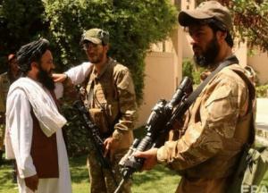 Двойные стандарты: чем отличаются террористы "русской весны" и "Талибана"