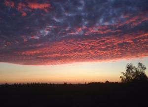 Чудо Украины