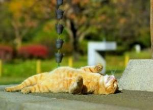 В Украину возвращается бабье лето: синоптики порадовали прогнозом погоды на выходные