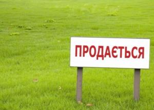 Все продано до нас или земля до востребования