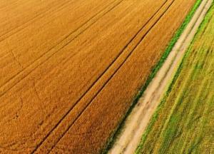 Закон о вывозе черноземов и лазейка для иностранцев. Как Рада решила переписать правила продажи земли