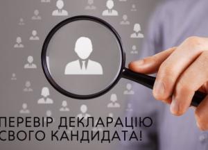 Доходы нардепов-общественников: квартиры Гопко и миллиард родителей Парасюка