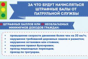 За что будут начисляться штрафные баллы от патрульной службы – Инфографика