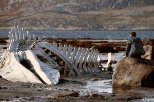 «Левиафан» Андрея Звягинцева: конъюнктура или шедевр?