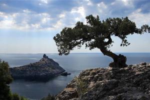 «Простой и незатейливый грабеж». Как Аксенов «национализирует» все, что плохо лежит