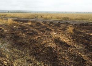 Хотим ли мы, чтобы наши дети жили на выжженной земле?