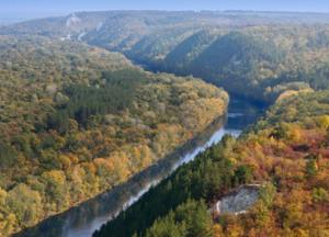 Ужасы Донецкой области: местные чиновники покрывают новую мафию (расследование)