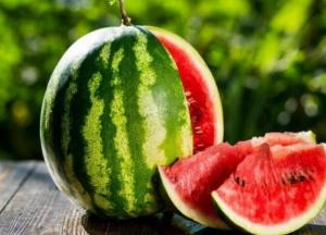 Що треба знати про користь кавунів