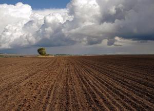 Земельный вопрос в Украине грозит стать вечным