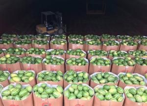 Было бы смешно, но почему-то грустно