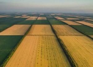 "Ходят по селам, скупают паи за полцены". Как в Украине работает открывшийся 1 июля рынок земли  