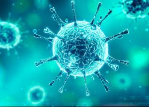 Ответы на вопросы о коронавирусе. Куда бежать, если вы заболели