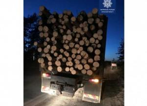 На Луганщині вирубали майже 10 тисяч заповідних сосен, деревину відвантажували на окуповані території