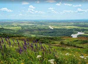 Як у нас «віджимали» Кубань