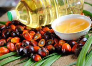 Пальмовое масло: распространенные мифы и правдивые факты