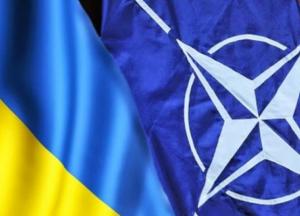 Нужен ли Украине референдум по вступлению в НАТО
