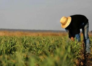 Про бідного фермера слово замовим!
