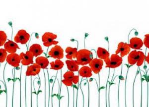 День победы: история праздника и важные факты