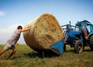 Уничтожение украинского фермерства грозит потерей Украины