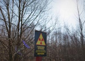 Чернобыльская зона: из радиоактивно загрязненных земель хотят сделать сельхозугодья  (фото)