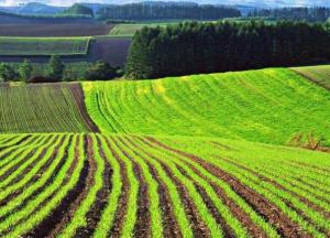 ​Закон о рынке земли: что произошло, какие возможности и какие риски создал парламент?