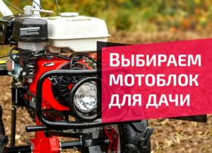 Ранняя весна 2020: как выбрать мотоблок для дачи