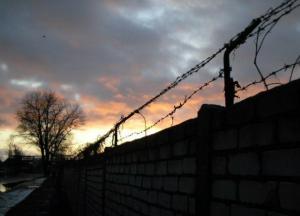 Тюрьма или воля