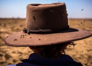 Іспанія чи Австралія. Як зміниться клімат України через 50 років