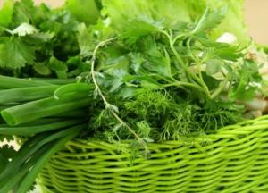 Як отримати від ранньої зелені максимум користі