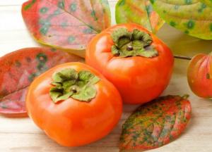 Сезонные антиоксиданты: какие фрукты стоит включить в рацион 