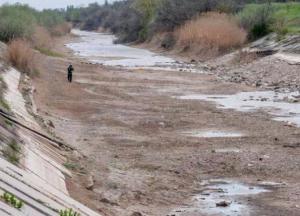 Ешьте свои «камни с неба»