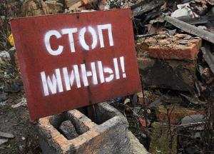  Россия вступила на минное поле выживания