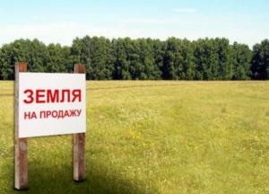 Рынок земли в Украине: как реформа может повлияет на экономику страны и кошельки украинцев