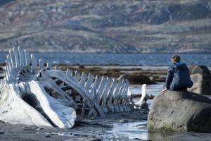 От «Груза 200» до «Левиафана». Два приговора России – советской и путинской