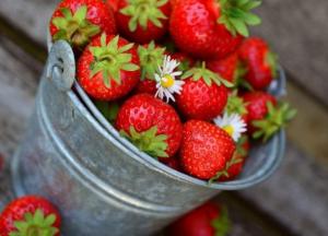 Клубника: в чем польза и сколько ее можно съесть